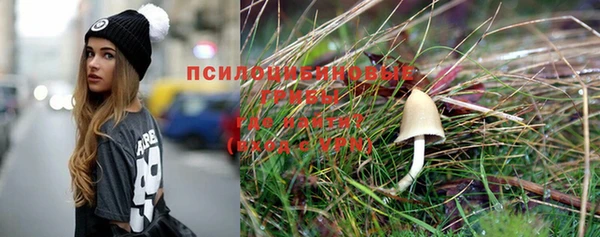 прущая мука Арсеньев