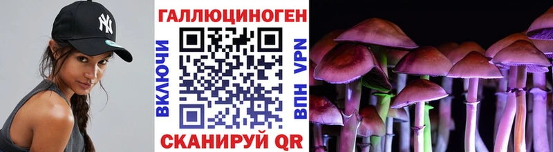Купить где  Славянск-на-Кубани  Псилоцибиновые грибы ЛСД 